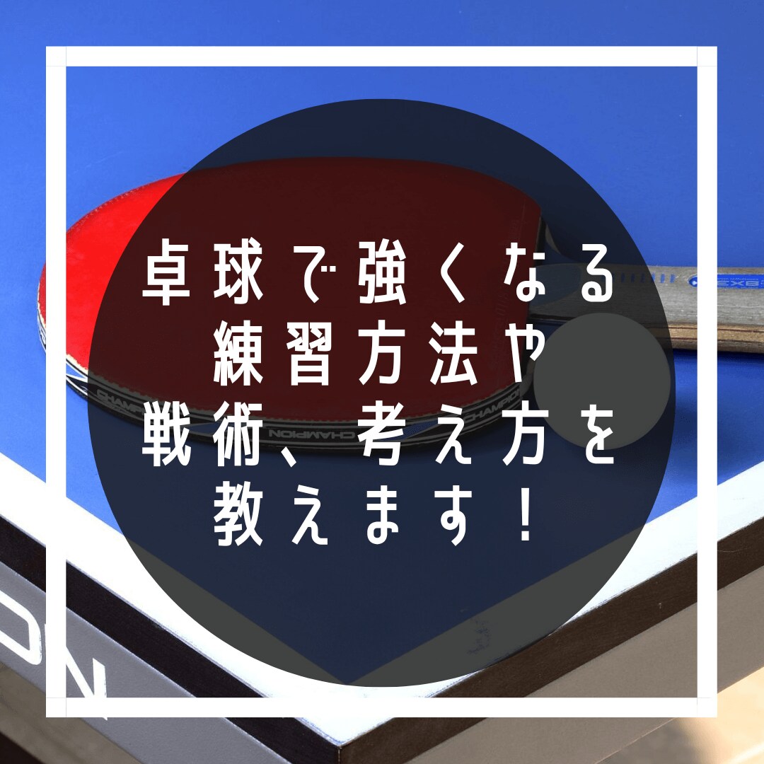 卓球で強くなる練習方法や戦術、考え方を教えます 老若男女、選手、指導者問わず全ての方々へアドバイス イメージ1