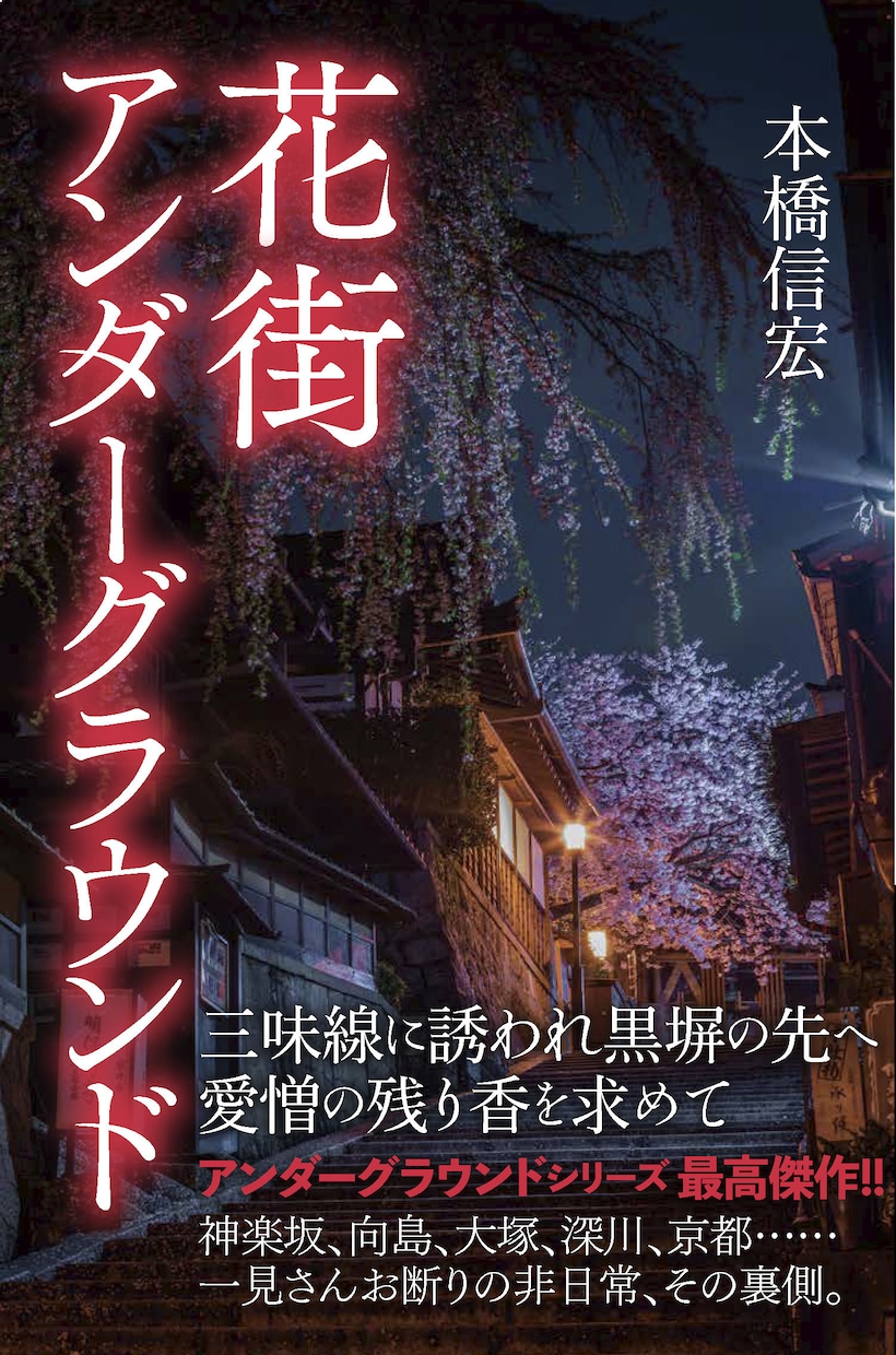 インデザインで書籍丸ごとデザインいたします 書籍カバー、帯、表紙、本文等、書籍の制作を承ります イメージ2