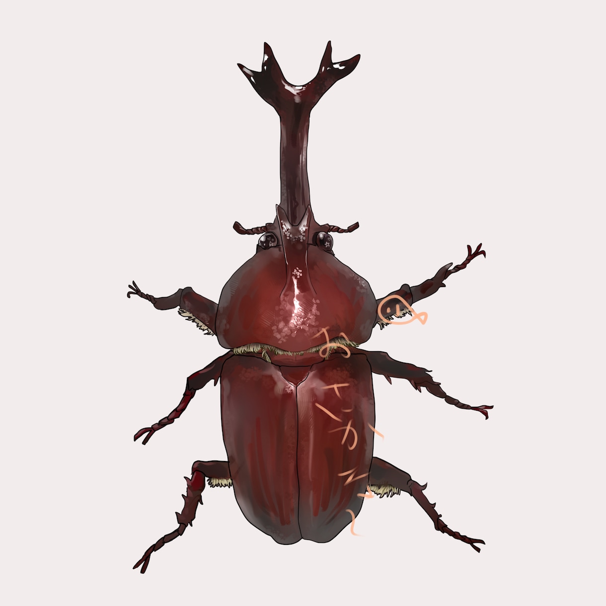 昆虫のイラスト描きます 子供がペットにしていた昆虫や、昆虫が好きな方のために描きます イメージ2