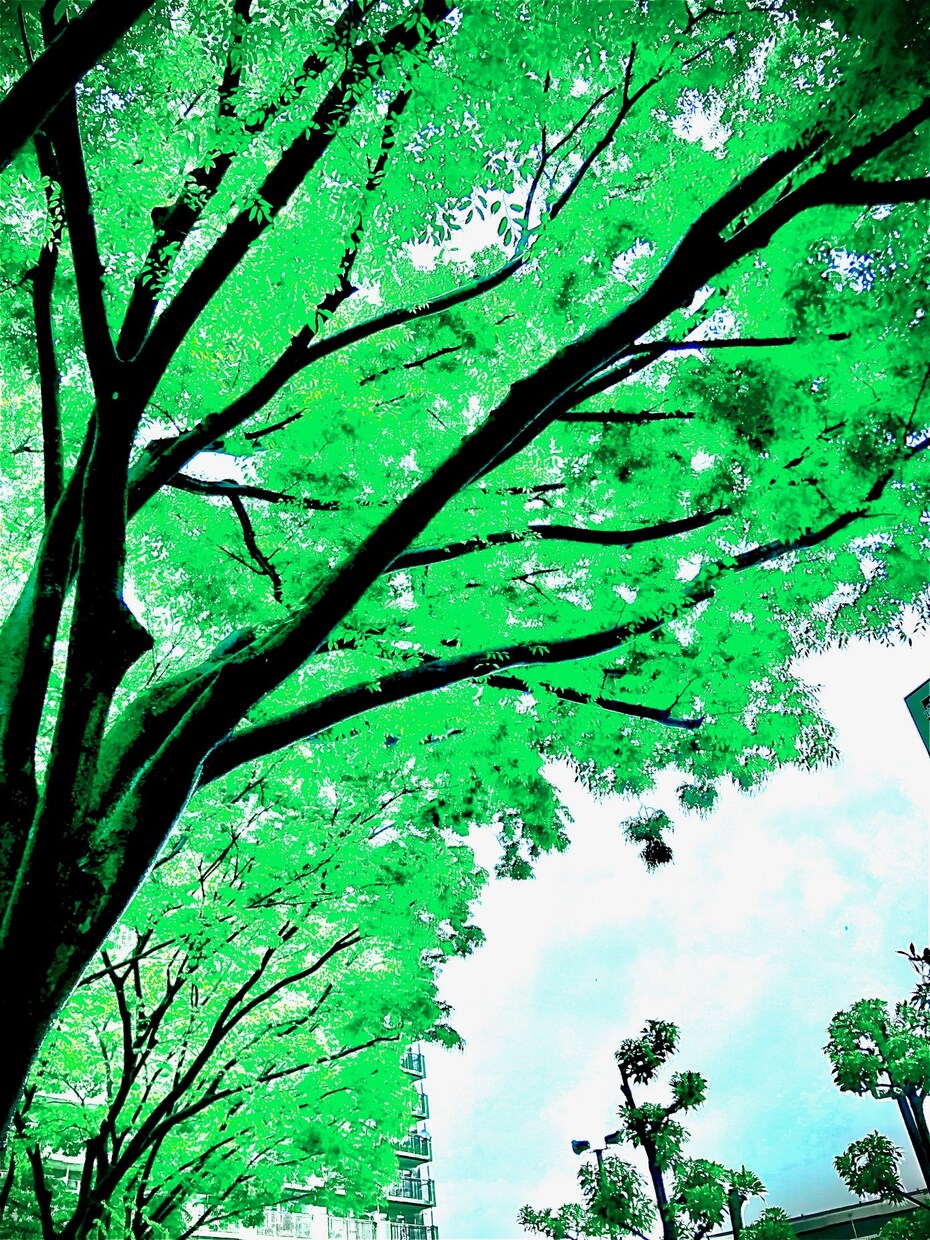 現実につかれた方へ。幻想的な写真作成します 写真なのにイラストに見える？ｉＰｈｏｎｅが写真の概念を再構築 イメージ2