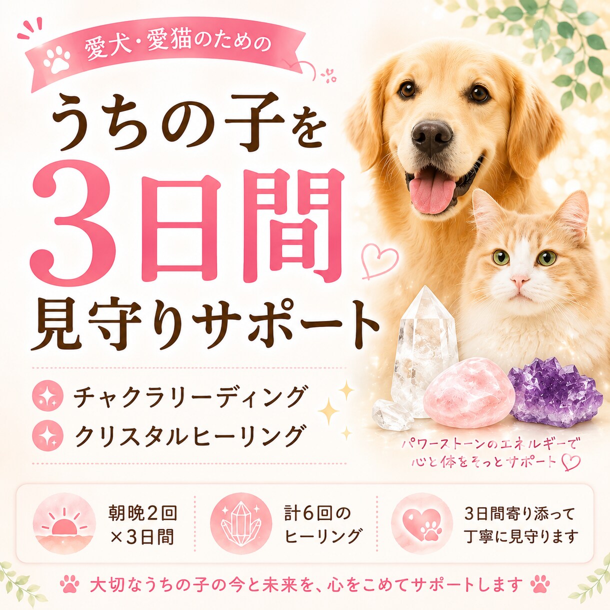 うちの子を3日間じっくり見守りサポートします 朝晩見守りながら心と体のバランスを整えます イメージ1