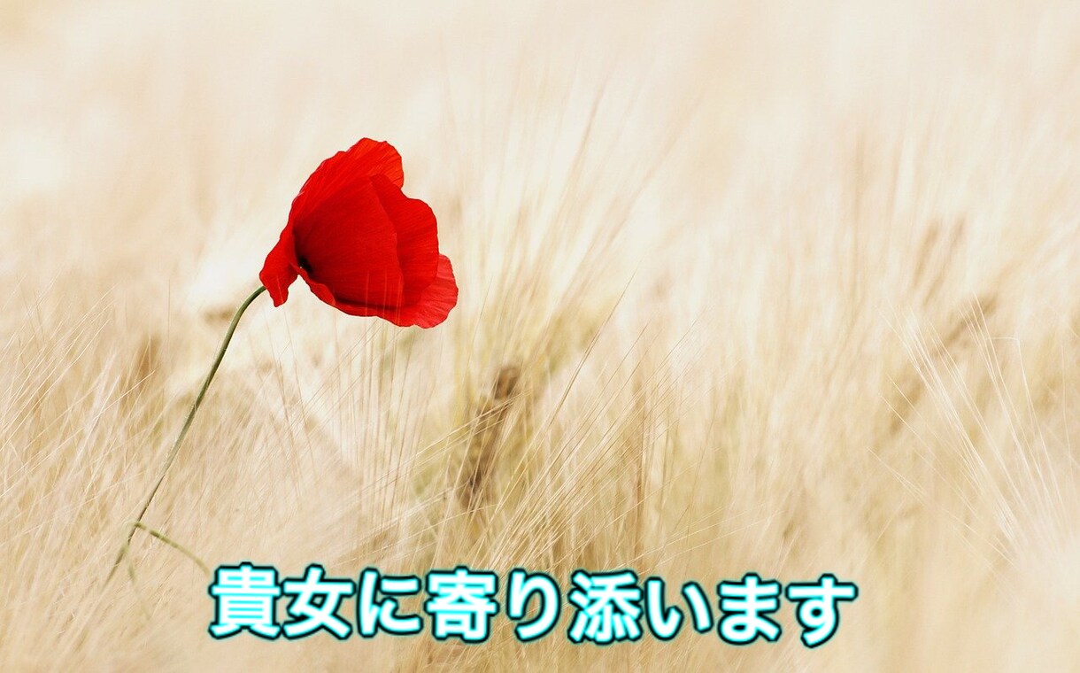 浮気&不倫.誰にも話せないお話お聞きします ☆小さな事でもお話下さい【女性限定】寄り添いホットライン❤️ イメージ5