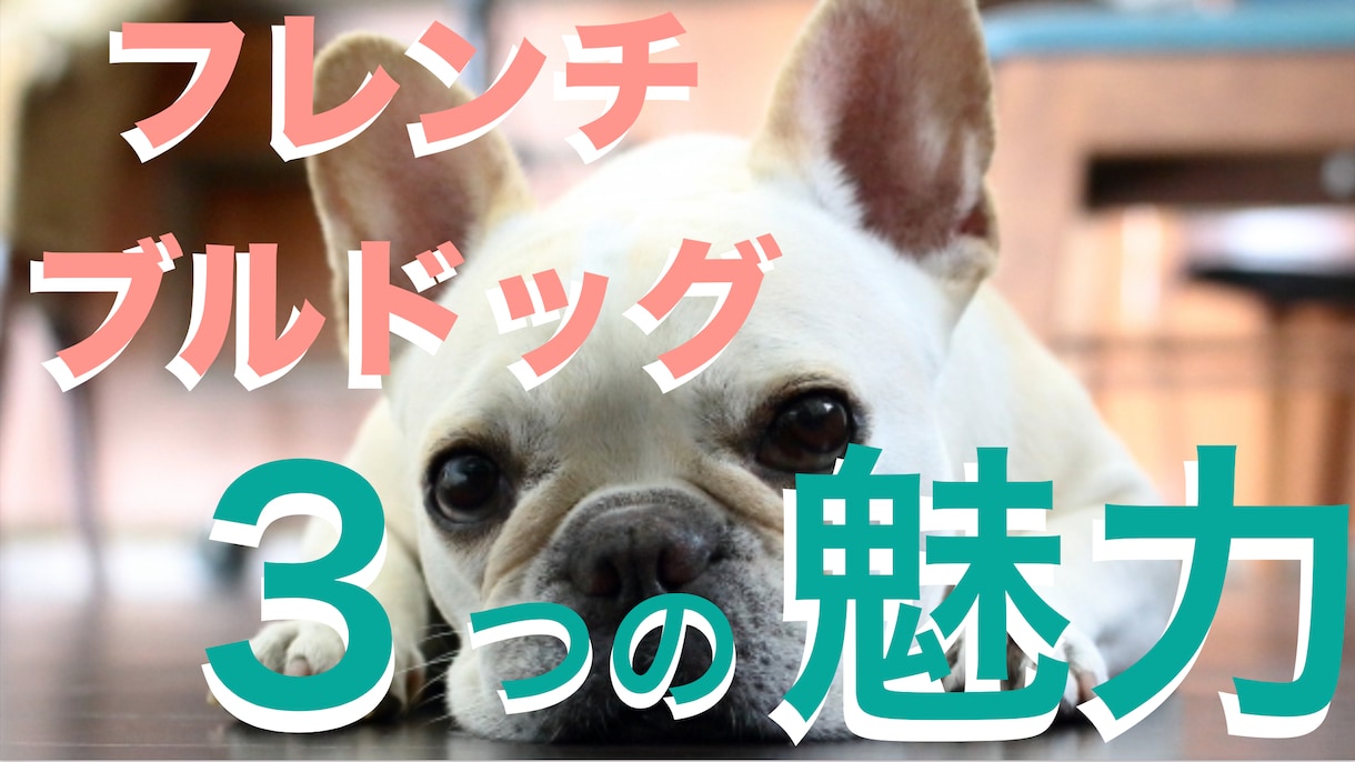 手直し何度でも無料YouTubeサムネイル作ります 最安値！効果的なサムネイル2枚を1,000円で！ イメージ3