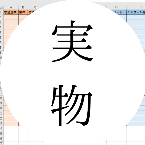 スケジュール管理用のExcelファイル提供します 就活においてスケジュール管理が命です。 イメージ2