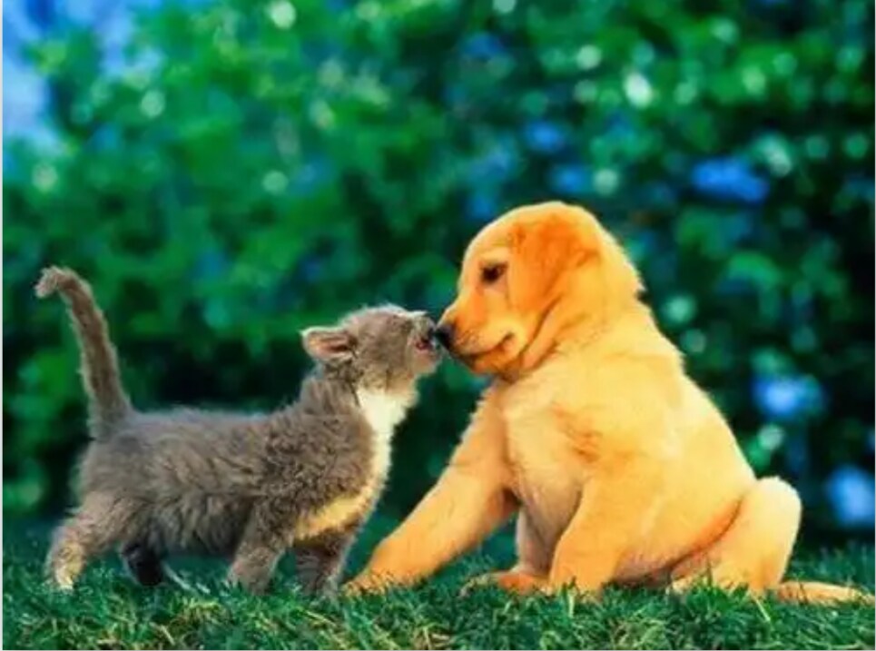1分でも♡あなたに癒しを届けます 寂しい時や誰かと話したい時に... イメージ1