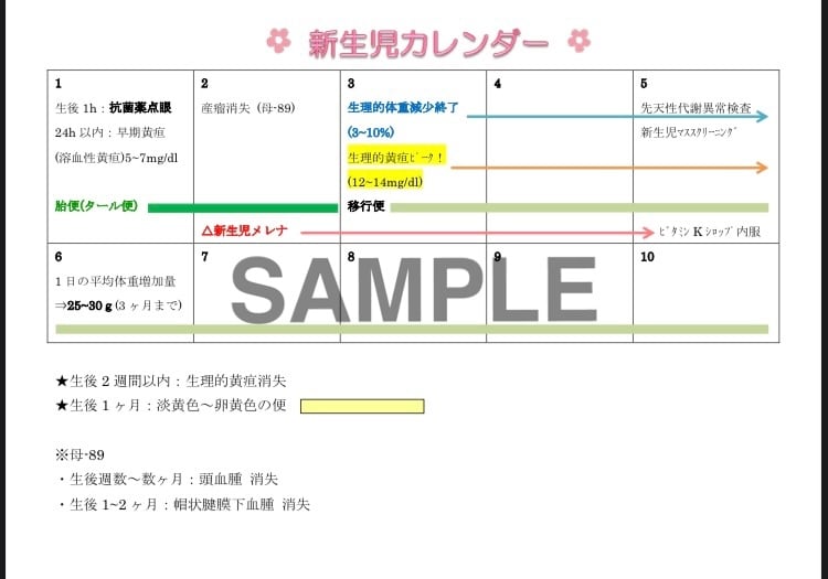 母性・小児看護学の学習に役立つ資料を販売します 実習・国試対策に！妊娠〜出産〜小児の発達をまとめたカレンダー イメージ2