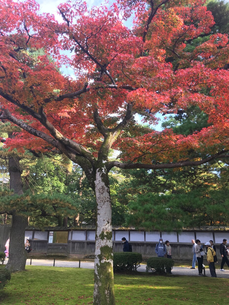就活相談可。面接で好印象を与える方法を教えます ★どんな面接だってもう怖くない！完全無敵になりたい方へ イメージ1
