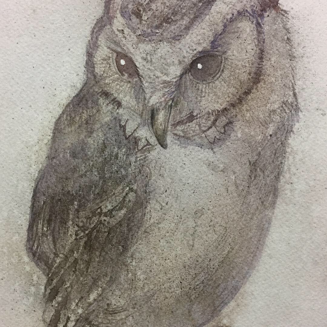 ペット・動物を透明水彩で描きます 透明水彩絵の具で特別な一枚をお描きします。 イメージ1