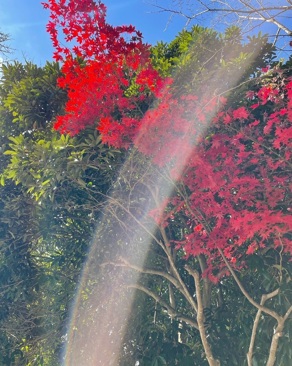 福岡県内にプロを派遣し、神社代理参拝いたします 遠方の方、プロに参拝をお願いしたい方に✨　神社代理参拝✨ イメージ2