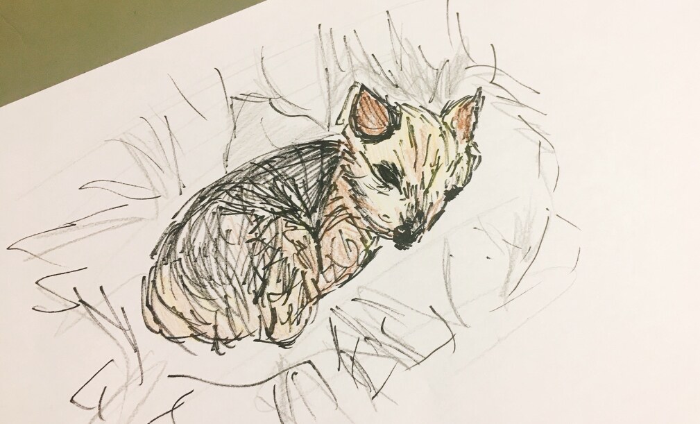 動物イラスト描きます 手描きでポップに可愛く仕上げます イメージ3