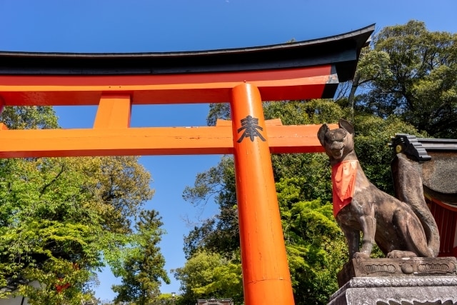 貴方の魂が本来進むべき正しい道へ波動修正で導きます 人生どん底から輝く人生へ。貴方の眠った力を呼び起こす奇跡体験 イメージ5