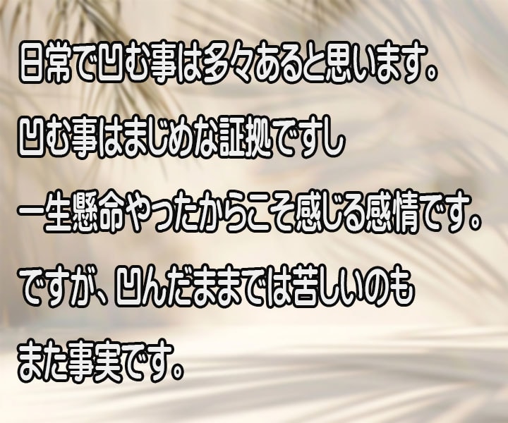失敗や上手くいかない現実で凹んだ心を励まします どん底から立ち直った経験を元に氷河期世代がアドバイスします。 イメージ3