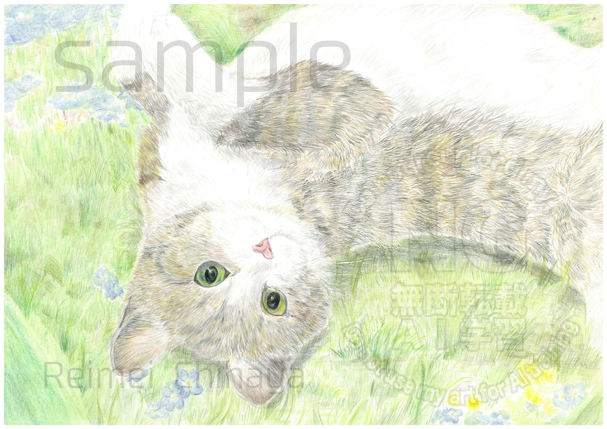 大切なペットを色鉛筆で描きます 家族を、絵として飾ってみませんか？ イメージ3