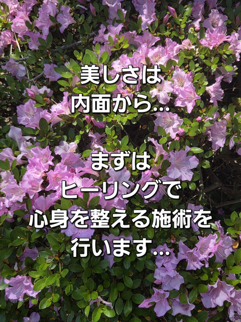 美容のヒーリングを行います 美しくする氣のヒーリングを行います。 イメージ2
