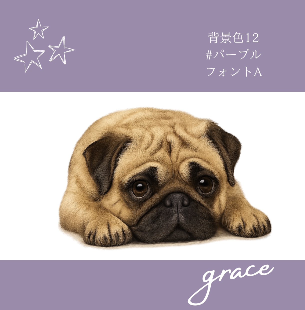 うちの子（ペット）を世界で1つだけのアートにします 選べる背景色15パターン！大切な家族をイラストにませんか？ イメージ9