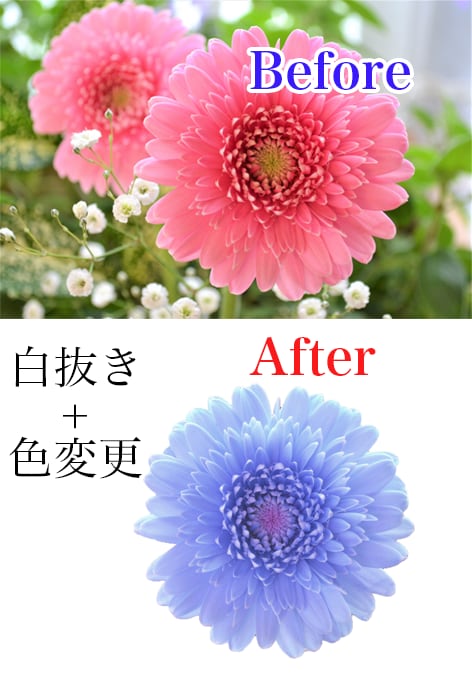 画像の背景透過、切り抜きします ～10枚まで1000円！即日対応可能◎ イメージ2