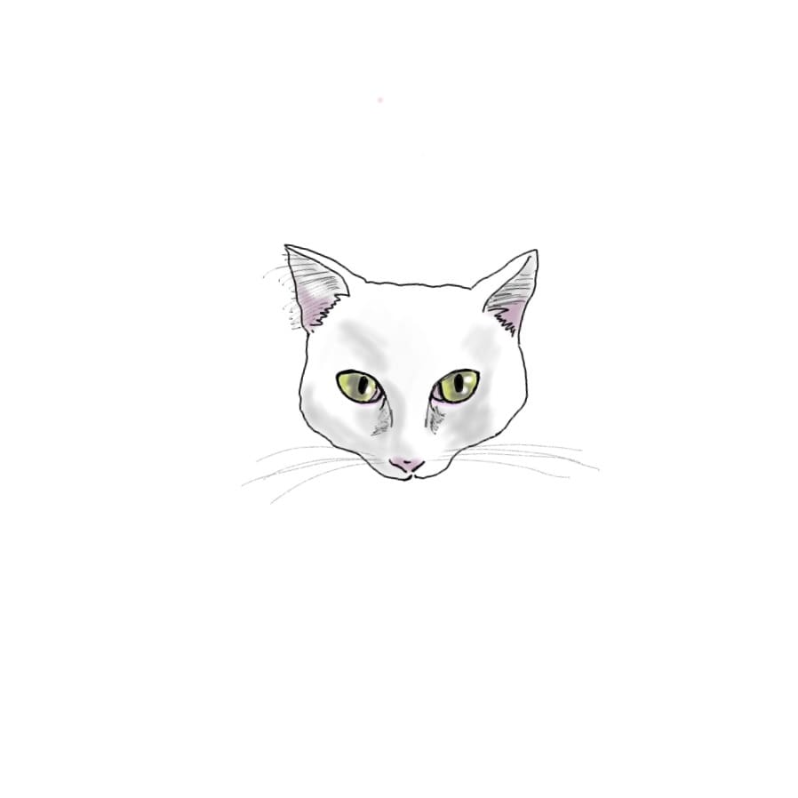 飼い猫ちゃんの顔似顔絵描きます 皆さんのキュートな飼い猫ちゃんたちをイラストに。 イメージ3