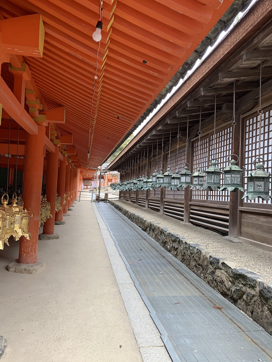 旅行の概念を変えます 私たちと一緒に新しい旅に出ませんか？ イメージ1