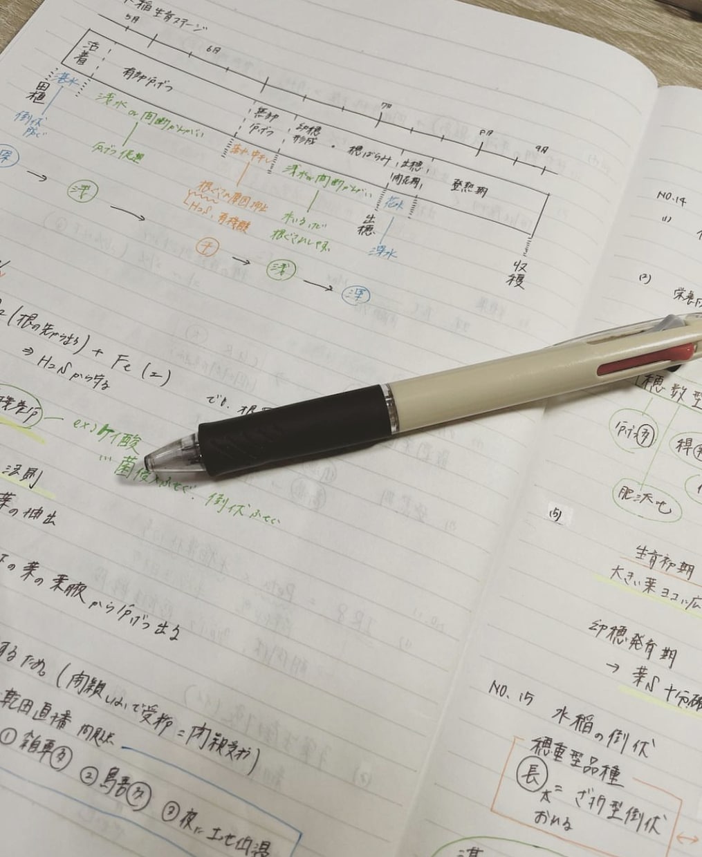 今からでも間に合う公務員試験突破方法教えます 公務員試験合格者が、勉強計画を立てます！ イメージ1