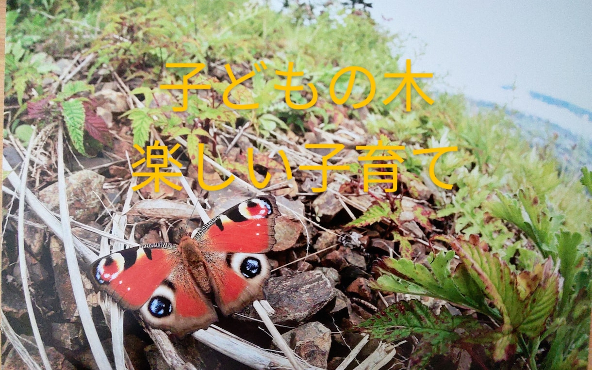 現役男性保育士が、楽しい子育てをサポートします お父さんもお母さんの悩んでいる事を聞き、アドバイスいたします イメージ1