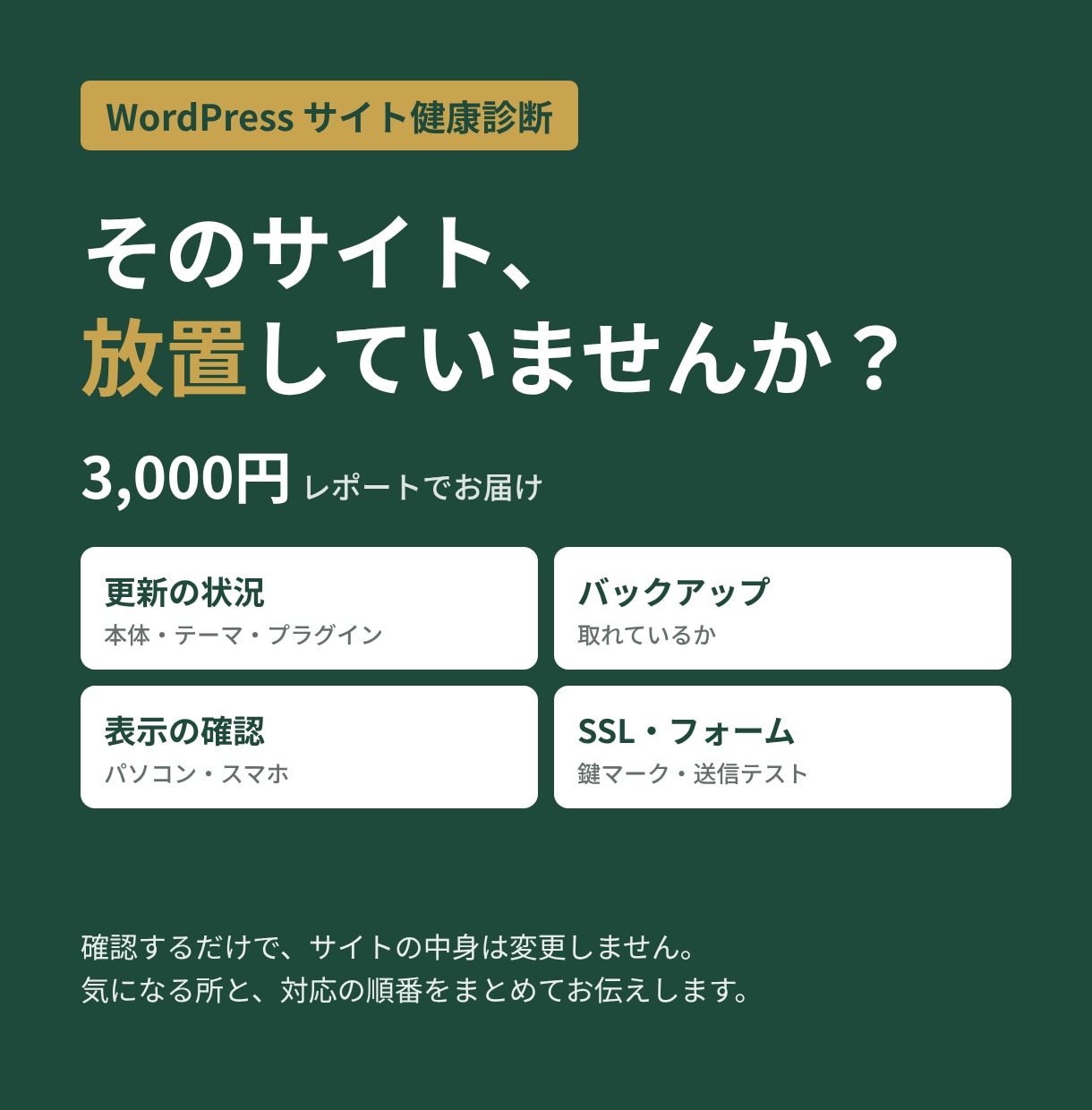 WordPressサイトを健康診断します サイトは触らず更新・表示・バックアップをまとめて確認 イメージ1