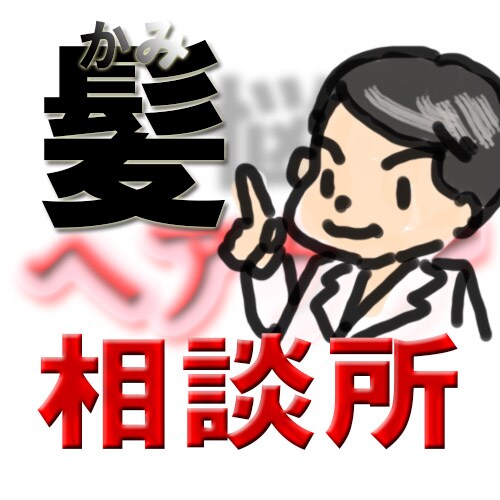 元大手かつらメーカー社員が、髪の悩みにお答えします ヘアケア、シャンプー、増毛商品など髪関連ならまず連絡ください イメージ1