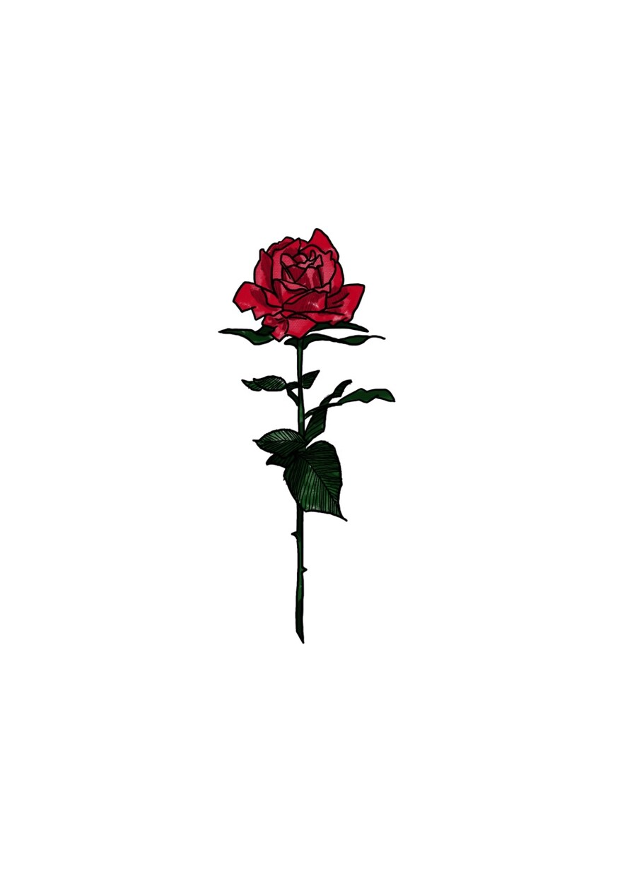 お花のイラスト描きます あなたのお気に入りの花のイラストを描きます！ イメージ1