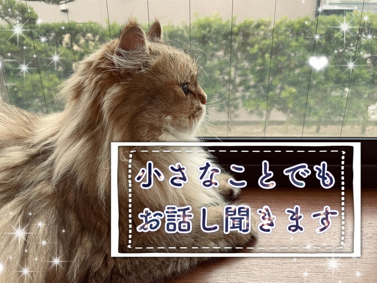 小さなことでも相談乗ります 気軽にお話してみてください(*'.'*) イメージ1
