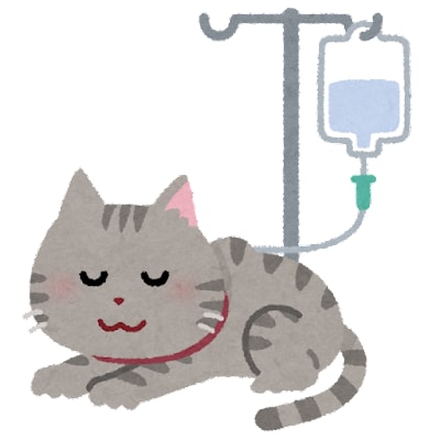 獣医師が企画やサービスにアドバイスや助言意見します 新サービスやアイデアについて獣医師の意見をお伝えいたします イメージ2