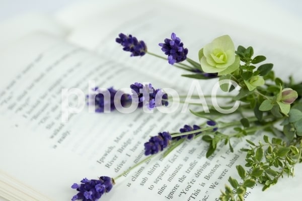 テーマに沿った記事を書きます 病気、自己啓発、美容健康など幅広い分野の記事を書きます イメージ1
