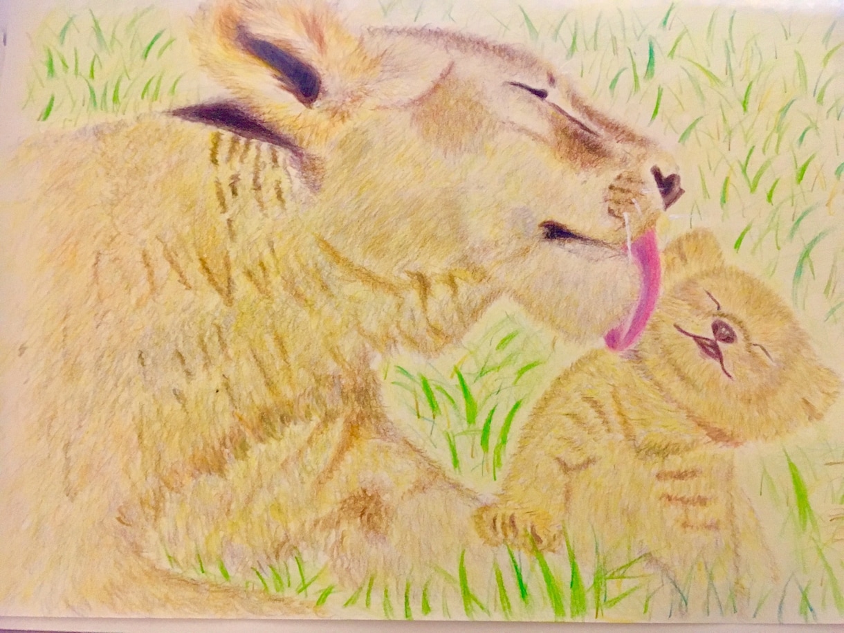 色鉛筆で暖かみのある絵を描かせて頂きます お好きな動物、ペットをアートという形で残しませんか？ イメージ1