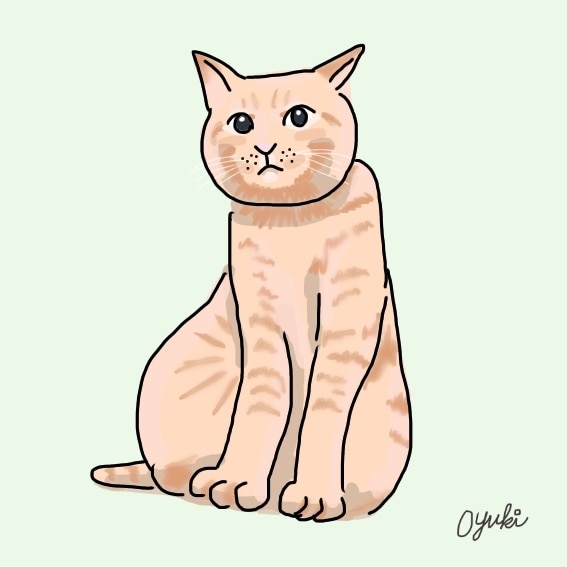 見た人が心軽くなる！ほっこりする似顔絵を描きます 家族や友達のプレゼントに、SNSのアイコンにお役立ち！ イメージ3