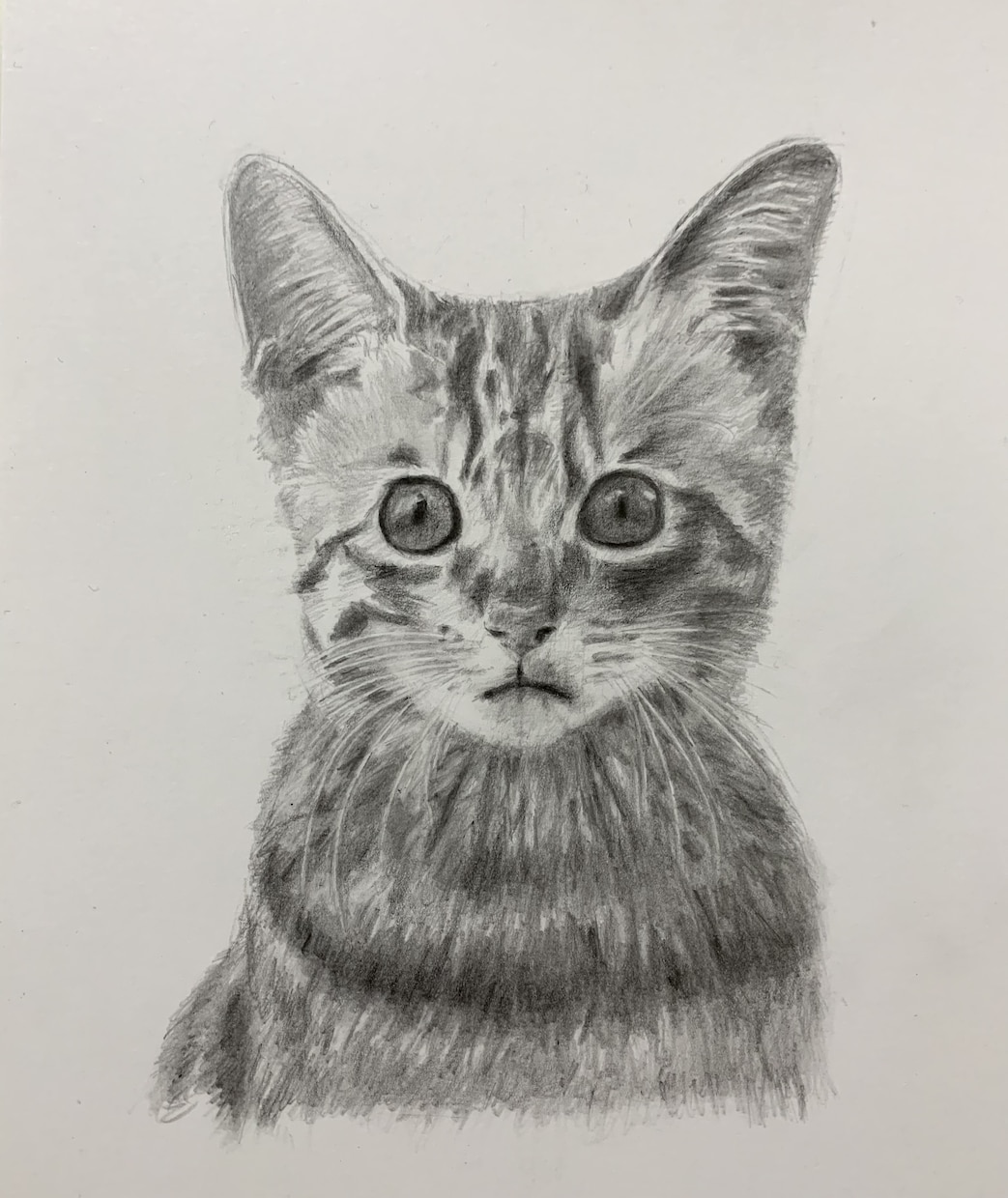あなたの大切なペットを鉛筆画にします イラストが好きなあなたへ　イラストが必要なあなたへ イメージ3