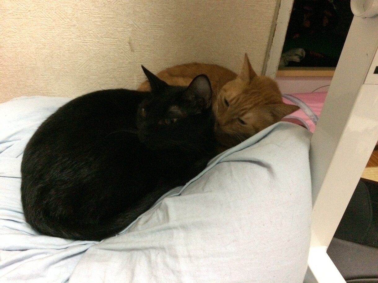 うつ病の方、悩み聴きます 病気を誰よりも理解しています。 イメージ1