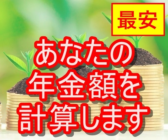 最安！現役FPがあなたの正確な年金額を教えます 現役FPが最安価格で、年金の疑問をすべて解決します！ イメージ1
