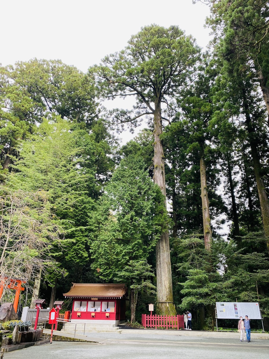 元看護師の目線から健康相談にのります 人を信じられないあなたへ届けたい、看護師の処方箋 イメージ1