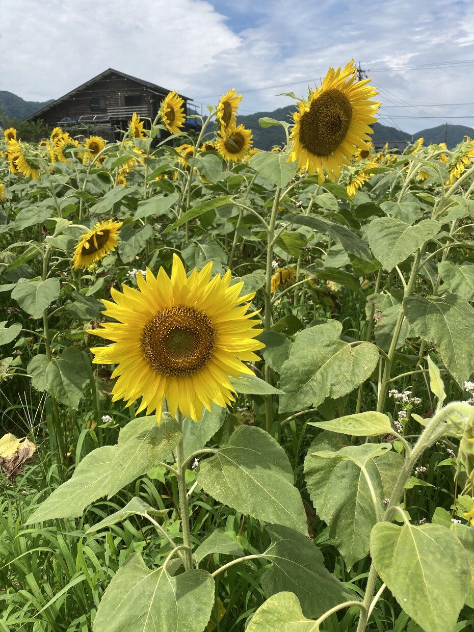 あなたのお話を満足するまでお聞きします 。あなたの「想い」、私に打ち明けてみませんか？ イメージ1