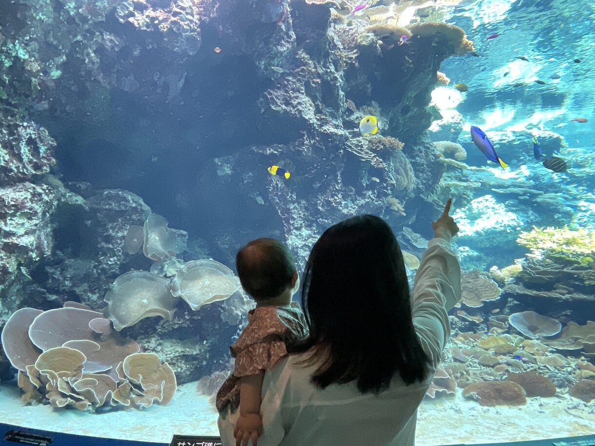 即日可！沖縄旅行計画・徹底的にサポートします 現役グランドスタッフ | 年間100日間旅する家族！ イメージ5
