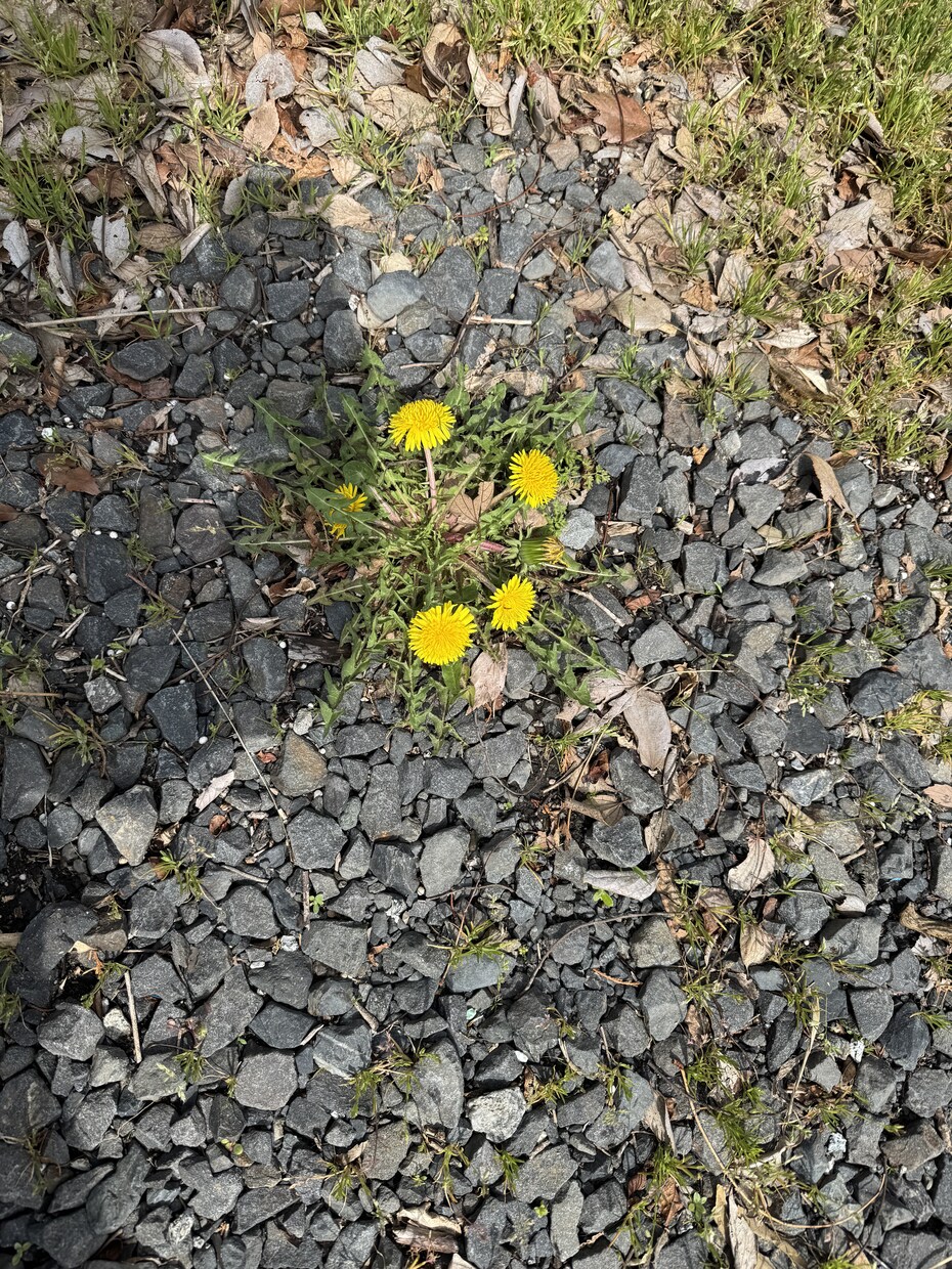 あなたの｢過去｣を掘り下げて振り返ります 過去にあった辛いことなど、ここで吐き出して綺麗にしましょう。 イメージ1