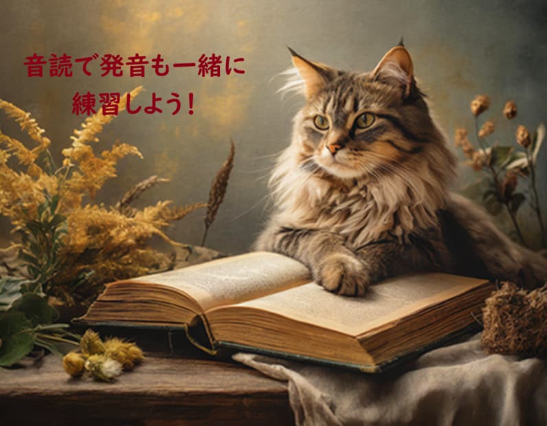 英語の音読練習にお付き合いいたします 英語の発音練習に音読は欠かせません！ イメージ1
