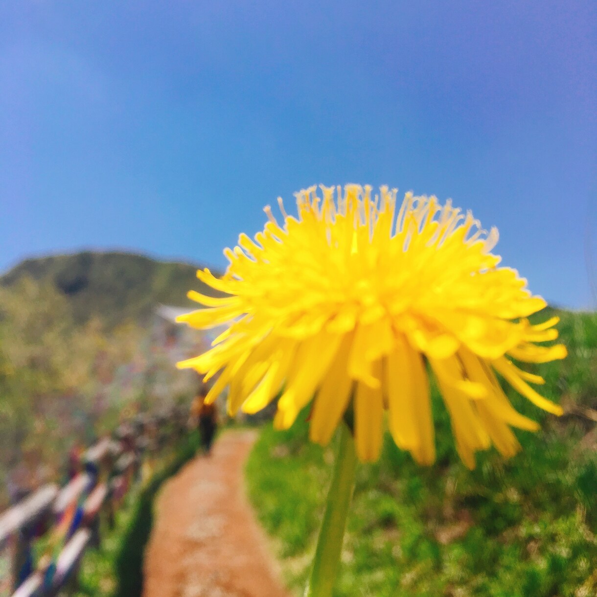 あなたのお話、30分ひたすら聞きます 今この瞬間に聞いて欲しい/近しい人に言いづらいそんなあなたへ イメージ1