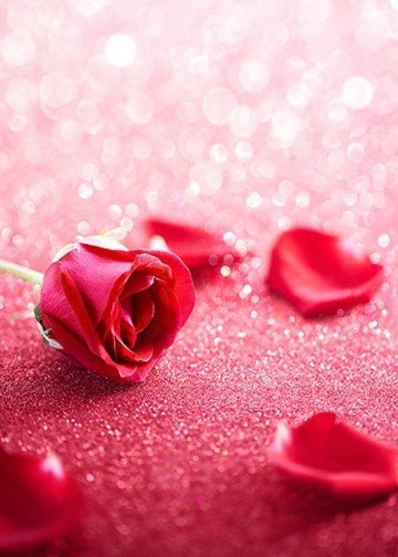 恋愛・結婚・あなたと相性の良い人お伝えします ♡あなたに合う最幸の人を知り幸せな未来へ導きます♡ イメージ1