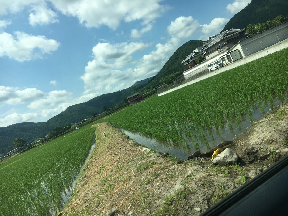 3日間お話し相手になります 愚痴・相談何でもお気軽にどうぞ！ イメージ1
