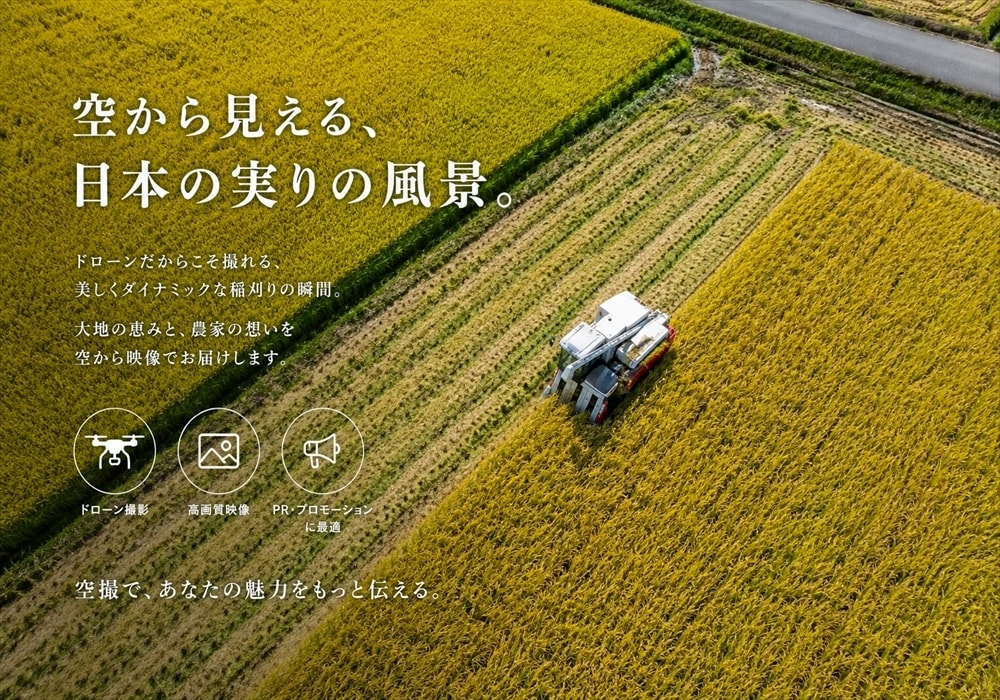 稲刈り作業、豊作田んぼ　ドローン空撮します 農作業風景、田んぼ全景、空から記念にドローン撮影 イメージ1