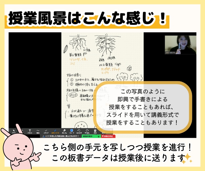 家庭教師歴7年の元医学部生が月12コマ指導します 週3回指導を受けたい方はこちらのプランをどうぞ イメージ4