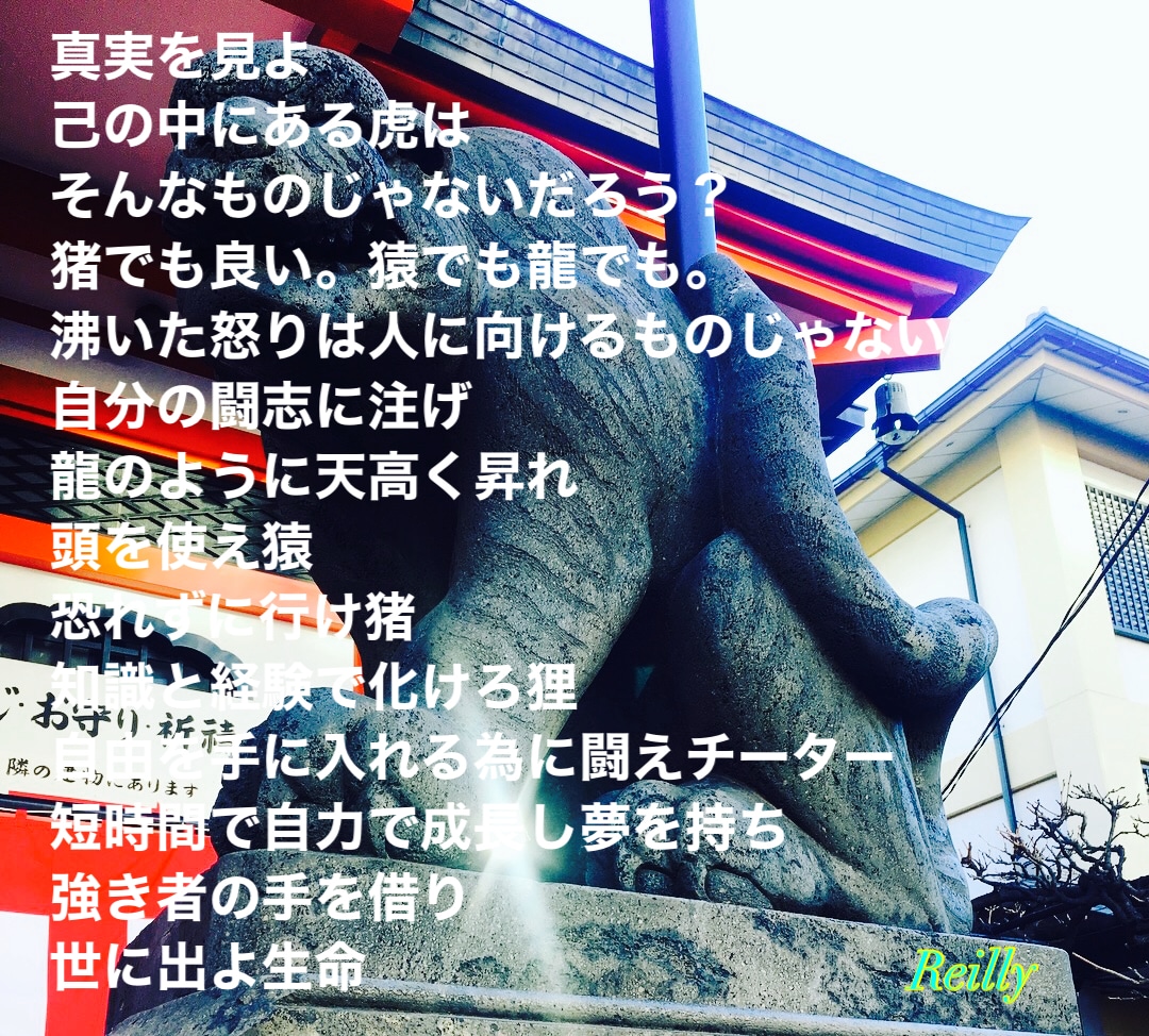 複数の占術でお仕事の適正⭐️お悩み占います 転職に失敗しやすい方など、性格、性質からお仕事の適正視ます イメージ1