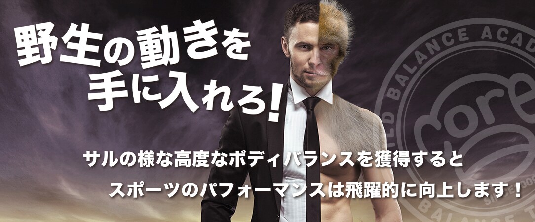 バランストレーニングを教えます 抜群にボディバランスが良くなるトレーニング方法を教えます。 イメージ4
