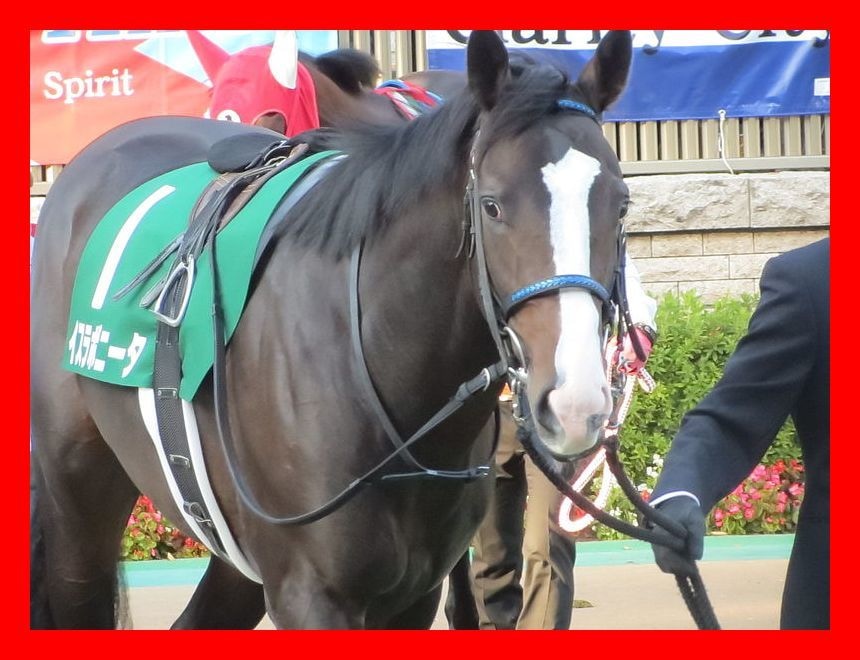競馬コロガシマジック！斬新なコロガシ手法を教えます 今までに無い斬新なコロガシ手法となっています イメージ1