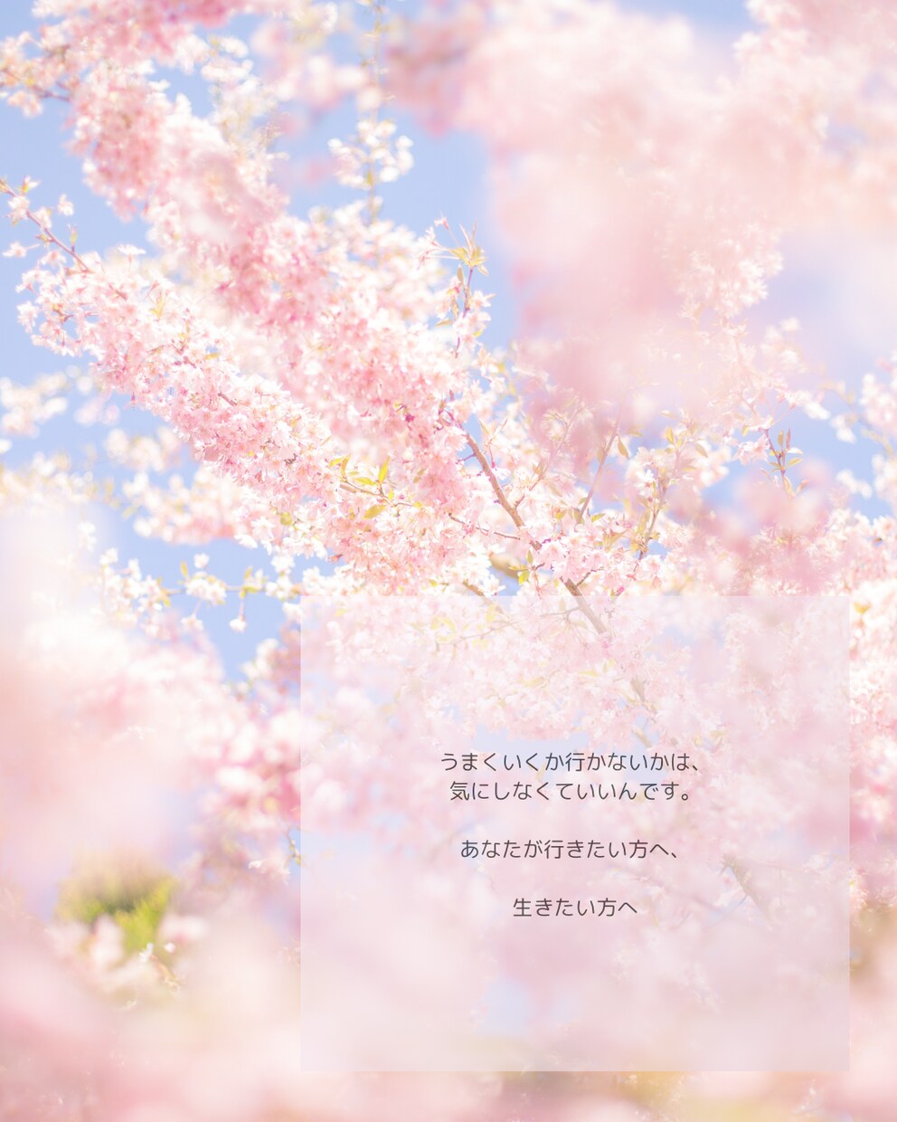 頑張り屋さんのあなたの話、静かに受け止めます うまく話せなくても大丈夫。完璧じゃなていいんです。 イメージ1