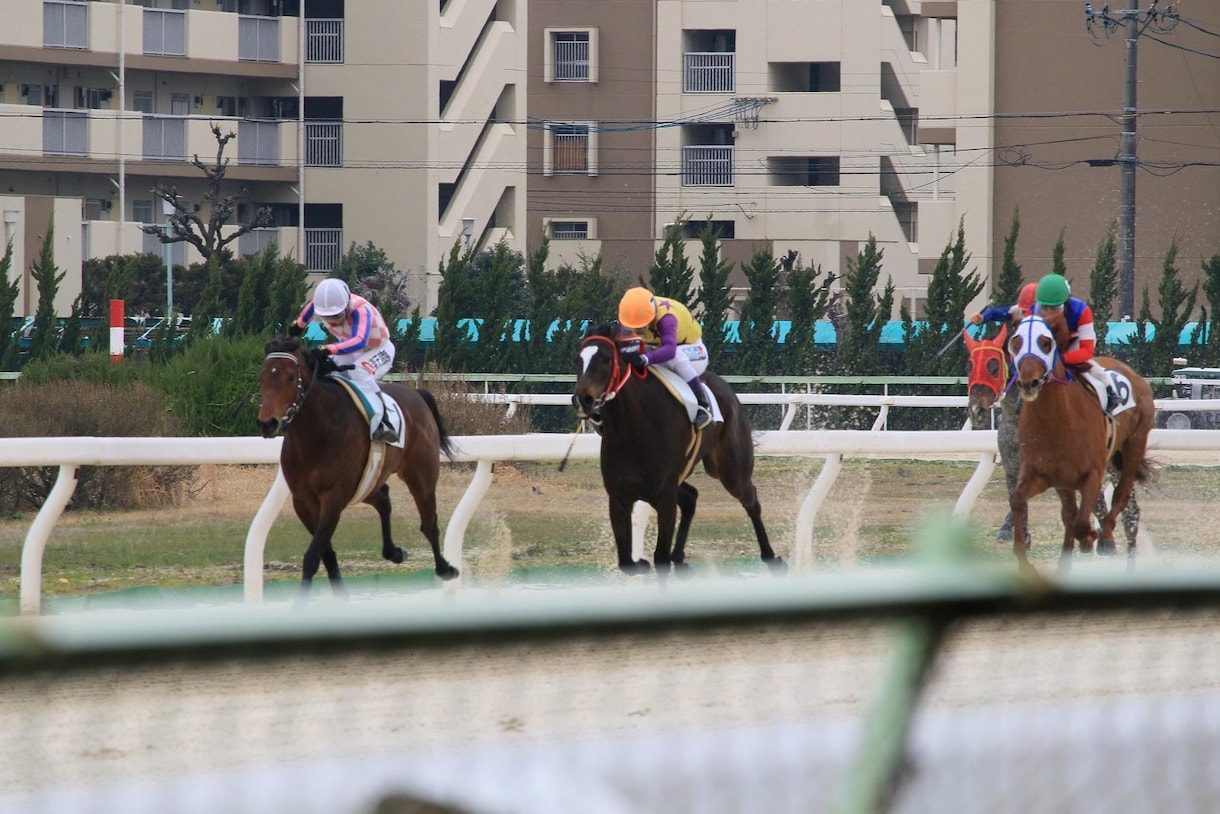 金沢競馬・究極の馬券術教えます 金沢競馬に興味のある方・驚異の回収率 イメージ1
